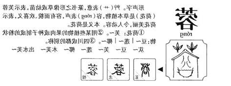 蓉 五行